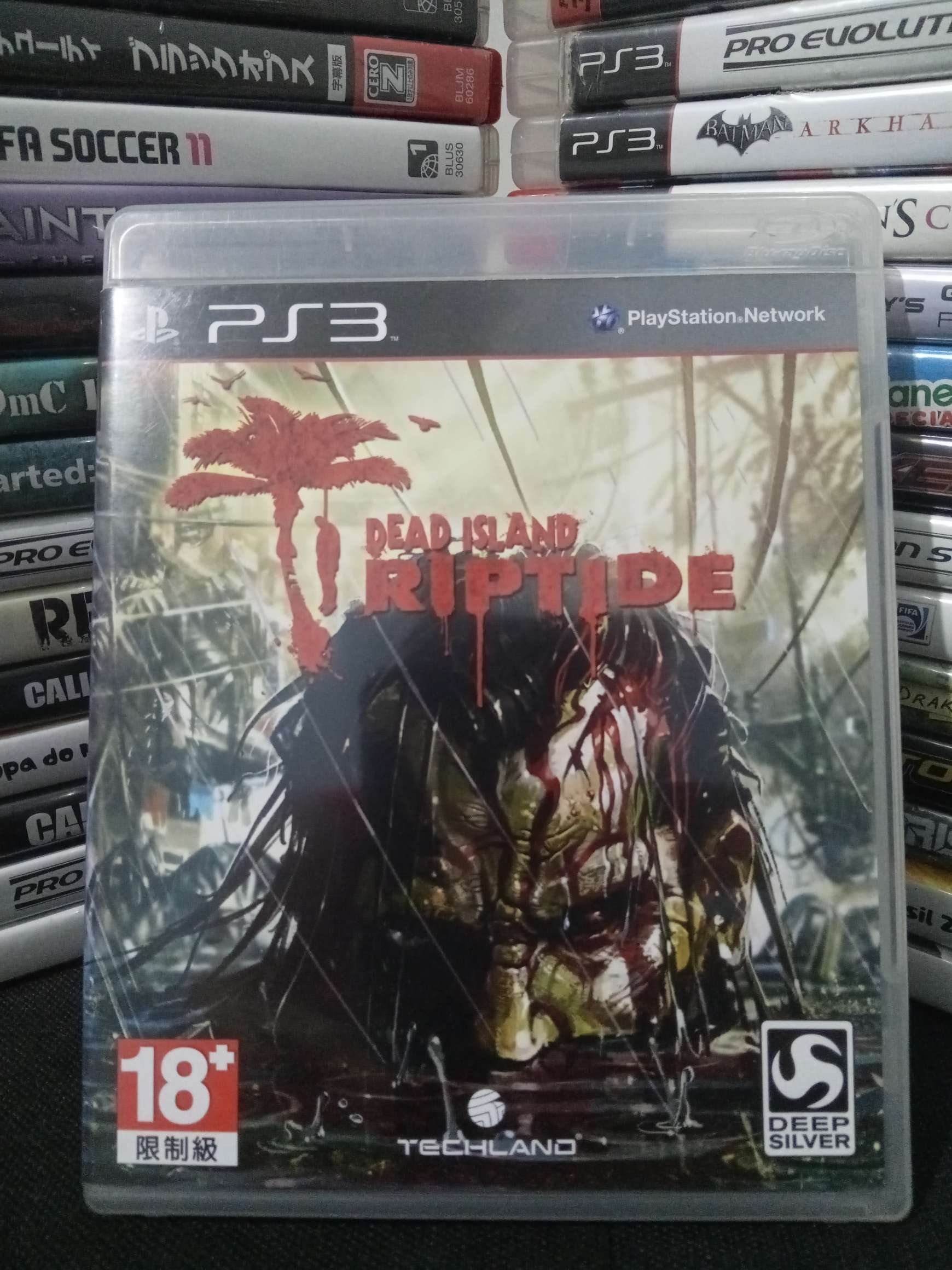 Dead Island: Riptide, Software